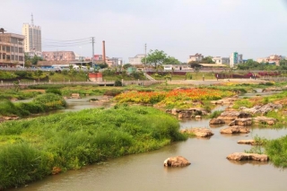 靈山縣欽江大橋至接龍橋段一江兩岸景觀提升工程項目